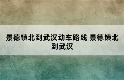 景德镇北到武汉动车路线 景德镇北到武汉